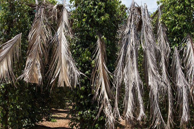 Exploring the Best of Kampot and Kep in a Full-Day Tour - Secret Lake and a difficult chapter of history