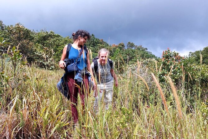 Exploring the Best of Kampot and Kep in a Full-Day Tour - Four hours in Bokor National Park
