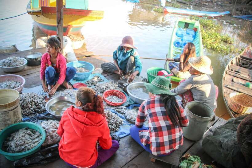Floating Village and Tonlé Sap Sunset Tour - Key points to know before booking