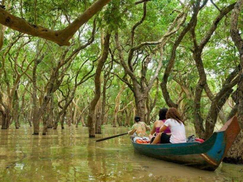 Floating Village-Mangroves Forest Tonle Sap Lake Boat Tour - The mangrove channels are the day’s most special ride