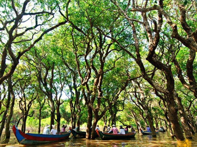 Floating Village-Mangroves Forest Tonle Sap Lake Boat Tour - The crocodile farm and an unusual lunch stop