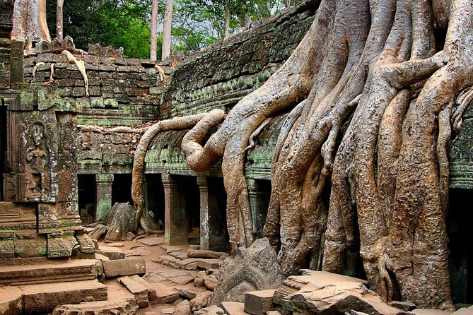 Four-day tour Angkor Wat, Banteay Srey, Beng Melea and Siem Reap discovery - Day 3: Beng Mealea’s broken stones and the older Roluos group