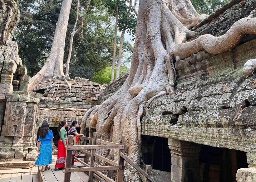 From Phnom Penh: Angkor Wat, Bayon, and Ta Prohm Day Trip - Ta Prohm, where stone meets jungle