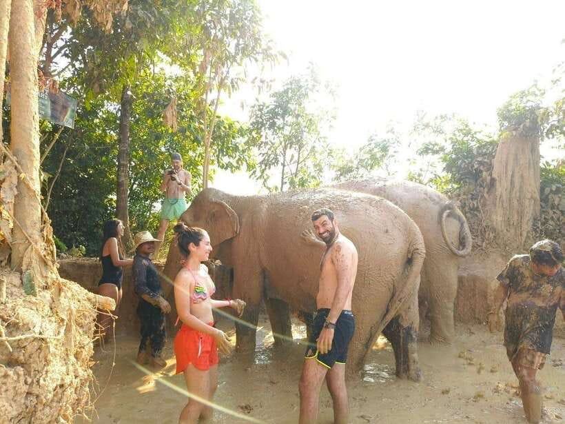 From Siem Reap: Elephant Sanctuary Experience with Transfers - Key points to know before booking