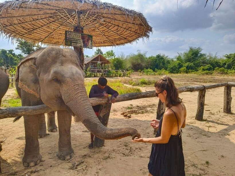From Siem Reap: Elephant Sanctuary Experience with Transfers - Who will enjoy this experience most