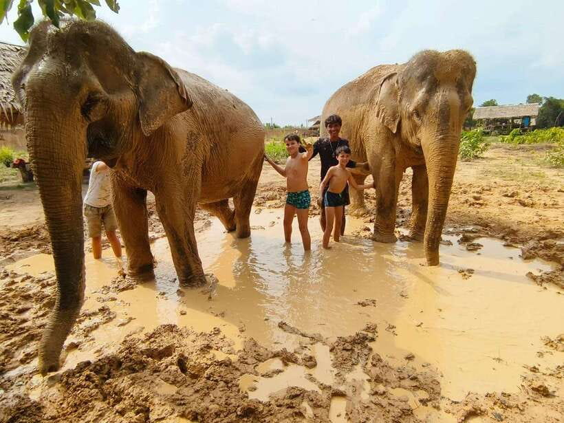 From Siem Reap: Elephant Sanctuary Experience with Transfers - The hour-long ride from Siem Reap