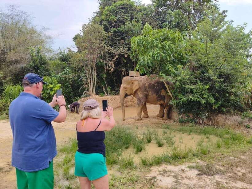 From Siem Reap: Elephant Sanctuary Experience with Transfers - Preparing rice balls and healthy elephant snacks