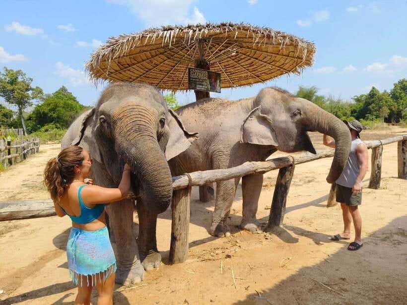 From Siem Reap: Elephant Sanctuary Experience with Transfers - Forest walking and the pond area
