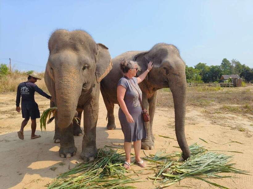 From Siem Reap: Elephant Sanctuary Experience with Transfers - Washing the elephants in the river