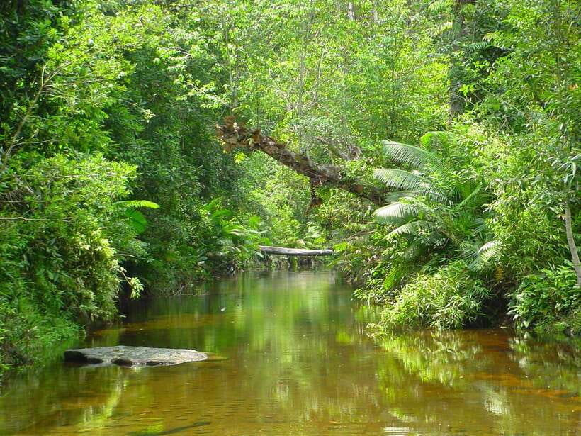 From Siem Reap: Small-Group Phnom Kulen Waterfall Day Tour - The plateau above the plain of Angkor