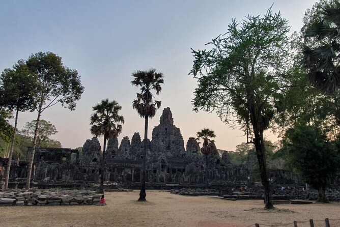 Full Day Angkor Wat Temples Tour with Pickup - Ta Prohm brings stone and jungle together