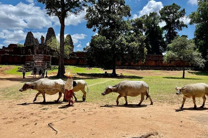 Full-Day 'Big Tour' with Sunset at Phnom Bakheng - Preah Khan connects the temples to Cambodia’s royal past