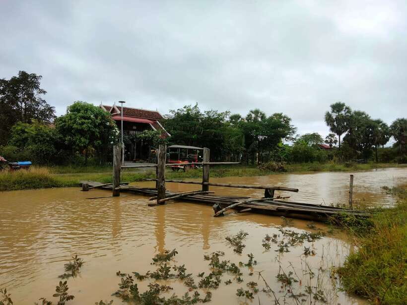 Full-day: Original bamboo train, Wat Banan, Phnom Sampov - Sticky rice, fruit bats, and the road to Wat Banan