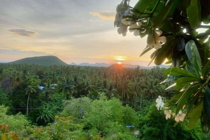 Full-day: Original bamboo train, Wat Banan, Phnom Sampov - Phnom Sampov and the Killing Cave