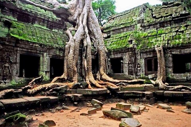Full-day Private VIP Tour to Angkor Complex - Baphuon turns the approach into part of the visit