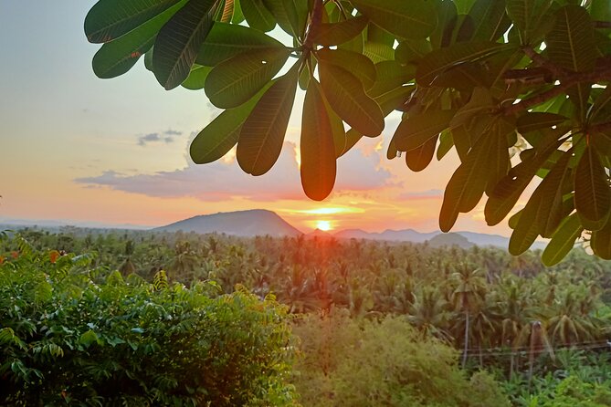 Full Day tour .City tour.Countryside.Bamboo Train.Secret Bat Cave - Battambang’s French-Era Streets in One Hour