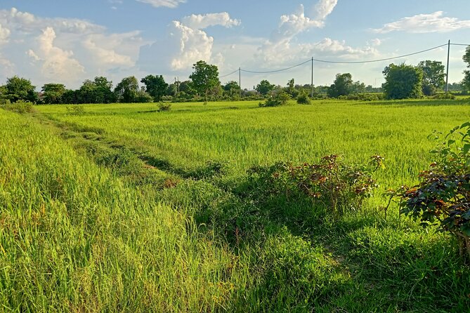 Full Day tour .City tour.Countryside.Bamboo Train.Secret Bat Cave - Fishing Village and Everyday Rural Life