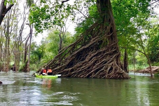 Full Day Tour from Siem Reap - Bamboo Train, Killing Cave & Sunset - The bat caves at sunset