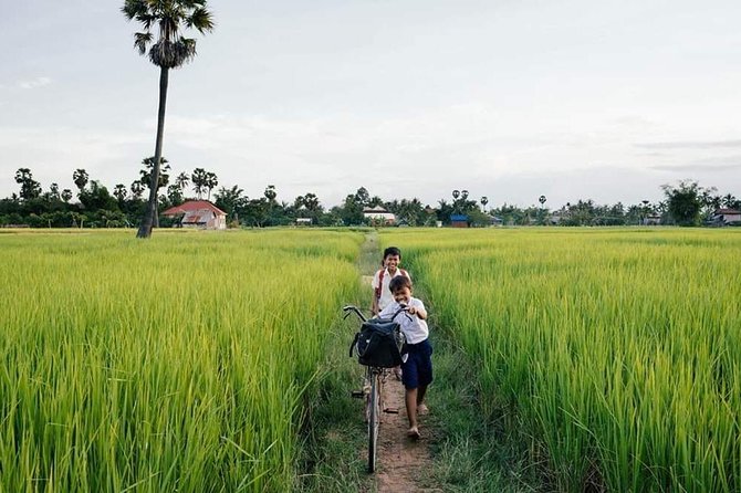 Full-day: Wat Banan. Old bamboo train. Bat Cave. Killing cave - Starting in Battambang with city history