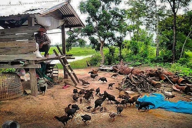 Full-day: Wat Banan. Old bamboo train. Bat Cave. Killing cave - The Killing Cave and Cambodia’s painful past