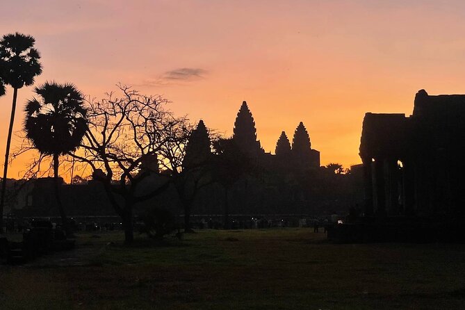 Golden Hours: Angkor wat sunrise photography tour with a pro! - Ta Prohm, the Tomb Raider temple