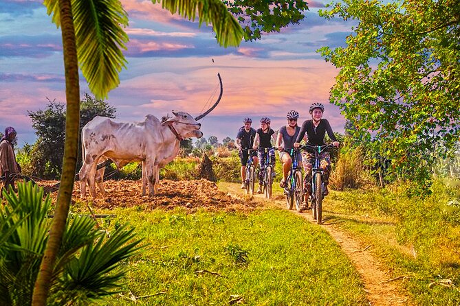 Grand Tour-Ek Phnom. Baset. Bamboo Train. Wat Banan. Phnom Sampov - Starting in Battambang at Ta Dumbong Kro Aung