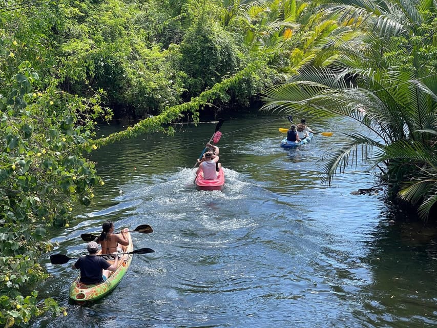 Green Cathedral Kayaking Journey & Reflection River View - Should you book the Green Cathedral kayaking trip?
