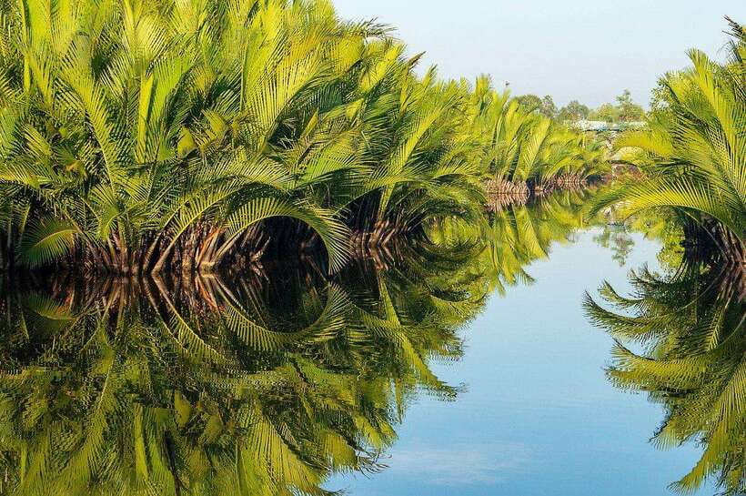 Green Cathedral Kayaking Journey & Reflection River View - The people who will enjoy this most