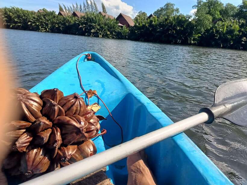 Green Cathedral Kayaking Journey & Reflection River View - A relaxed afternoon with real local detail