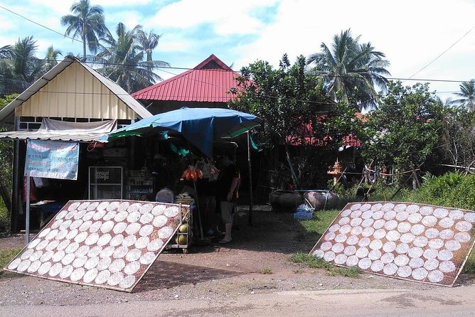 Half day morning bicycle tour to Explore local livelihood and test local snacks - Why this Battambang bike tour works