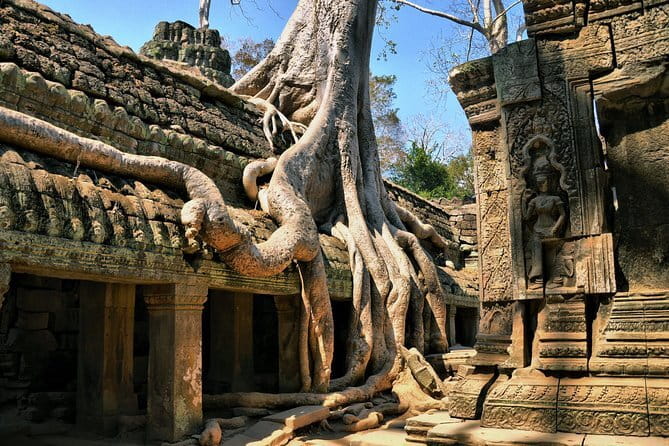 Half Day River Monster Tour with Private Guide in Siem Reap - Who will enjoy this most