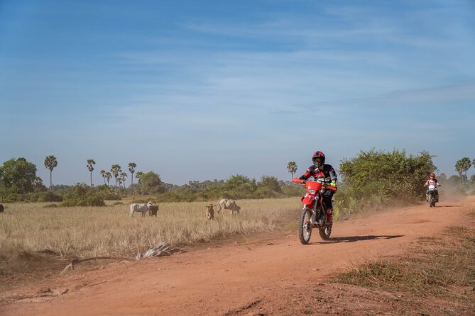 Half Day Siem Reap Off-Road Ride Tour - Should You Book the Siem Reap Off-Road Ride?