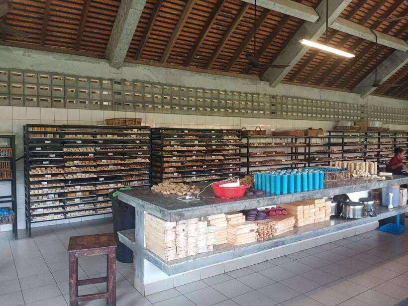 Half Day Trip: Silk Farm, Satcha, and Senteur d'Angkor Tour - Artisan d’Angkor: a final look at local handicrafts