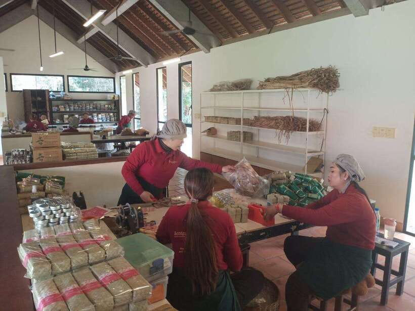 Half Day Trip: Silk Farm, Satcha, and Senteur d'Angkor Tour - Price, shopping, and overall value