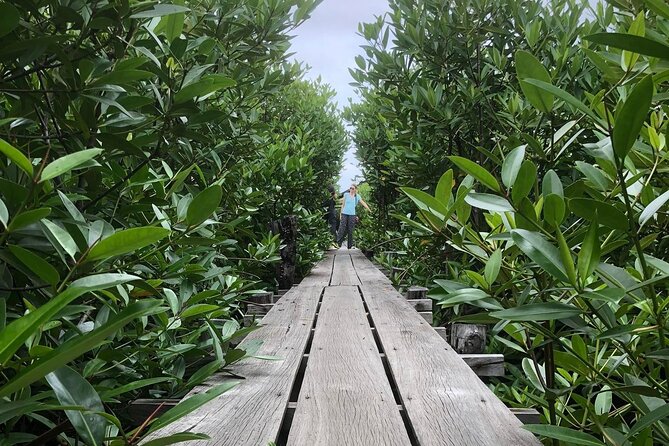 Kampot Countryside Tour - Pepper Farm, Salt Lake, Caves, and more - Why this countryside route works