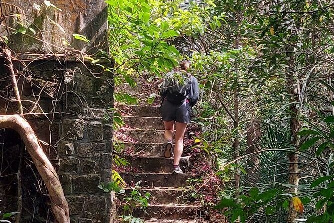 Kampot Day Tour "Bokor National Park" - Forest roads, monkeys, and the final hour in the park