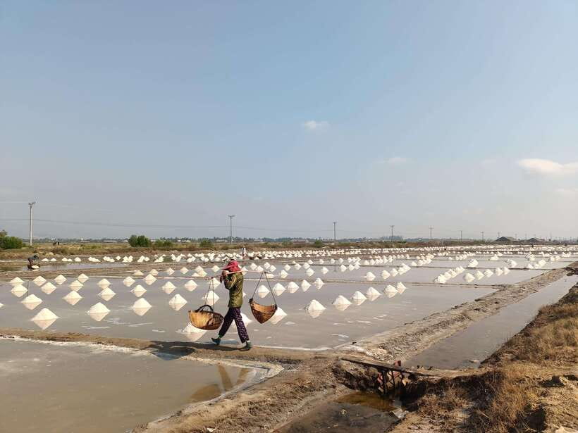 Kampot: Full-day Countryside Tour with Pepper Farm and Kep - Kep crab market, French-era remains, and the sea