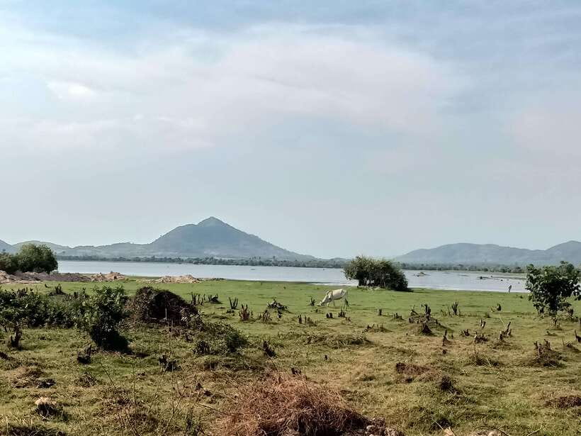 Kampot: Full-day Countryside Tour with Pepper Farm and Kep - Is $26 good value?