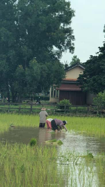 Kampot Pepper & Kep/Crab Market Tours: Salt, Secret lake - Who should book it?