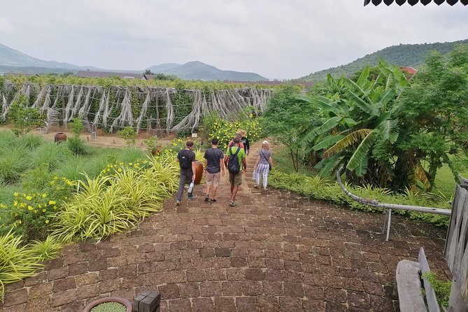 Kampot Tour Pepper Plantation, Salt Field, Cave, Secret Lake - Key points at a glance