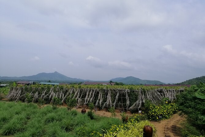 Kampot Tour Pepper Plantation, Salt Field, Cave, Secret Lake - Why this Kampot countryside tour works