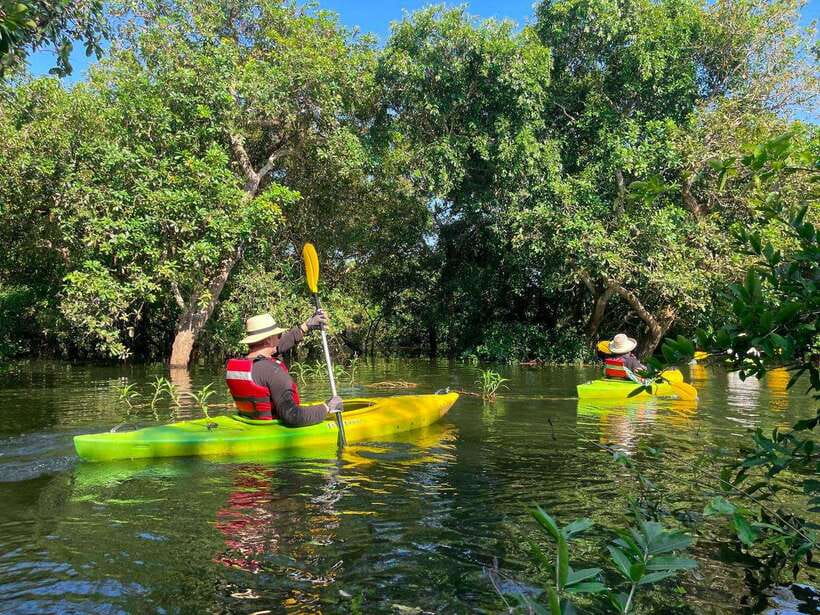 Kayaking & Floating Village in Siem Reap - Key points at a glance