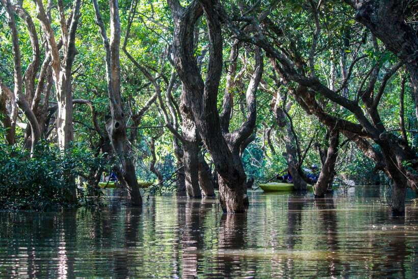 Kayaking & Floating Village in Siem Reap - Guide quality can shape the whole experience