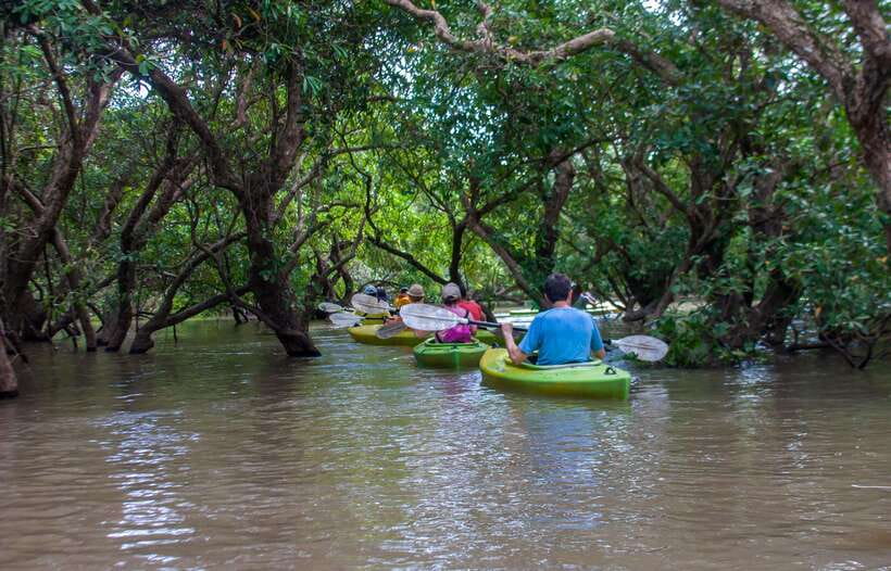 Kayaking & Floating Village in Siem Reap - Why this Tonle Sap trip feels different