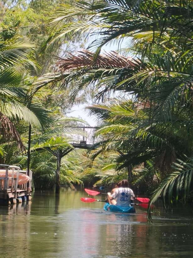 Kayaking tour around green cathedral - What to bring and what to leave behind