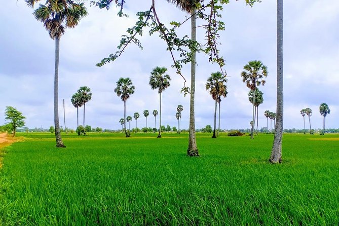 Killing Field & Paddy Rice Fields Tuk Tuk Adventure - Tonle Bati and Ta Prohm after two hours on the road