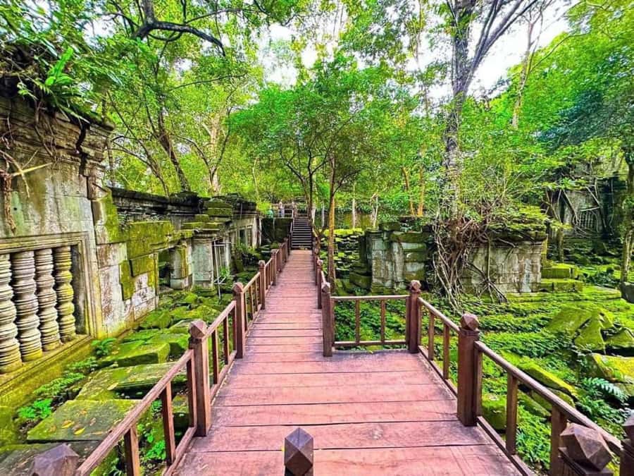 Koh Ker & Beng Mealea Temple Guided Tour - The road from Siem Reap to the countryside