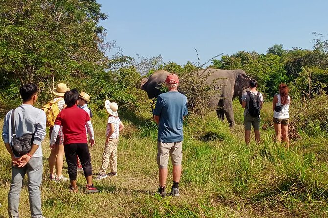 Kulen Elephant Forest and Tonle Sap Lake by Private Tour - Feeding elephants and walking with their mahouts
