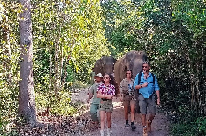 Kulen Elephant Forest and Tonle Sap Lake by Private Tour - A boat ride with room for questions