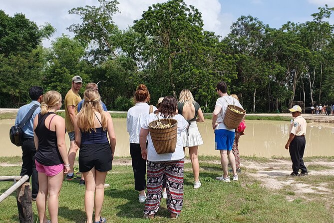 Kulen Elephant Forest & Kampong Phluk by Private Tour - The main weakness: price and schedule
